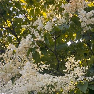 Meet your Posher, Mairin